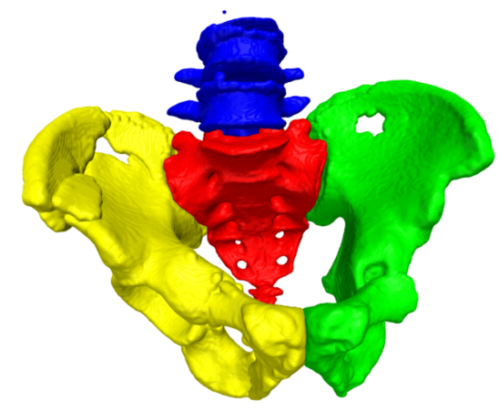 pelvic bones fracture examination