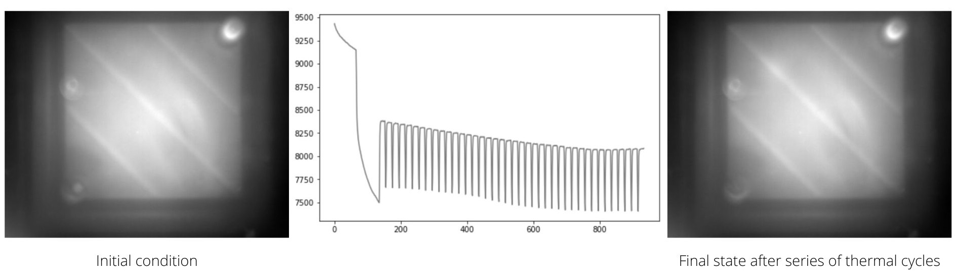 signal is below level of detection detection in pcr